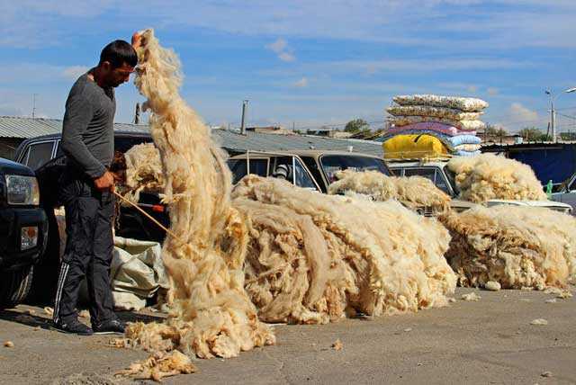 Утеплители на основе овечьей шерсти: экологически чистые материалы на страже комфорта владельца
