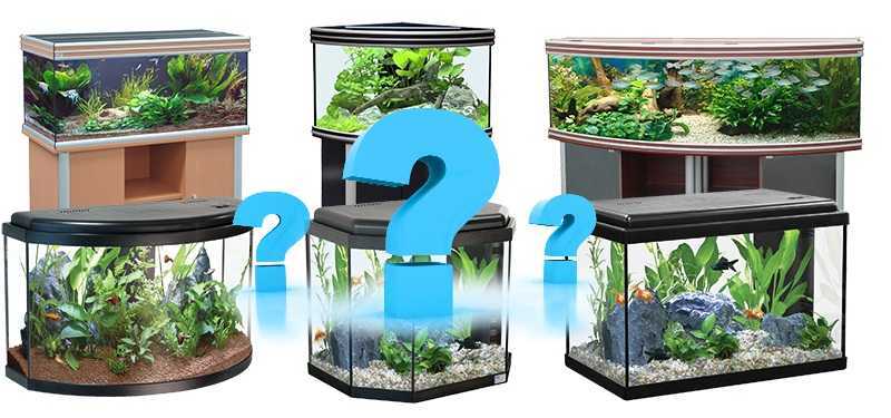 Как выбрать грунт для аквариума?