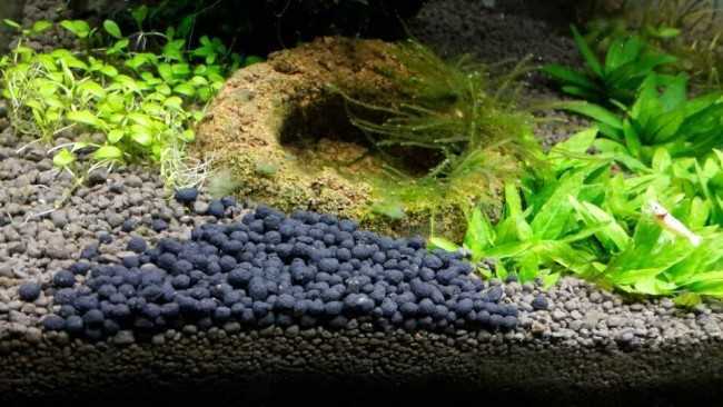 Грунт для аквариума: виды грунта, как укладывать и ухаживать ним