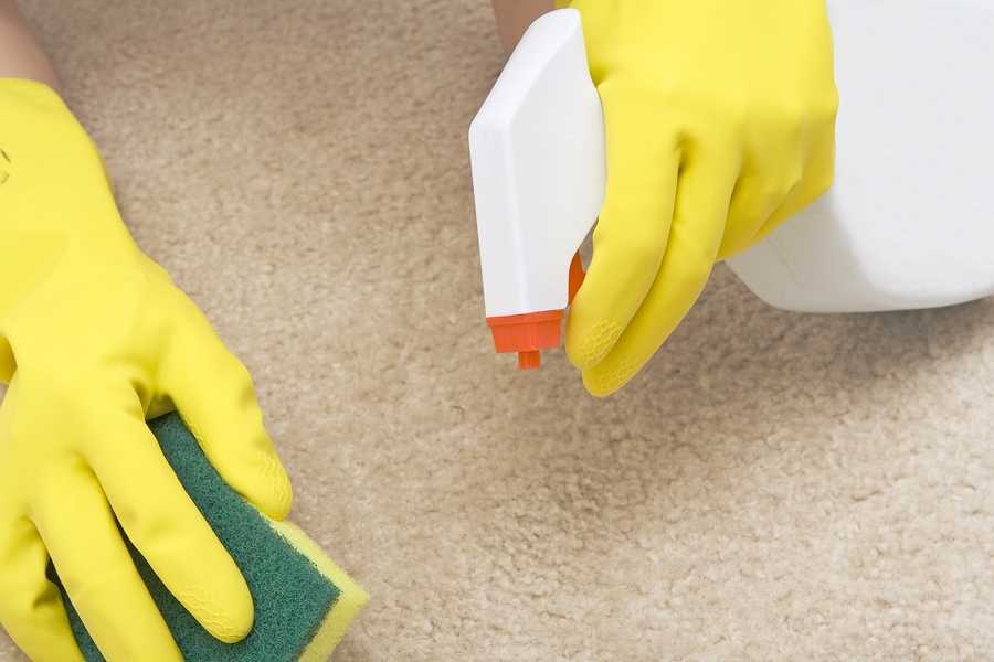 Как правильно чистить ковры из натуральной шерсти – газета "право"