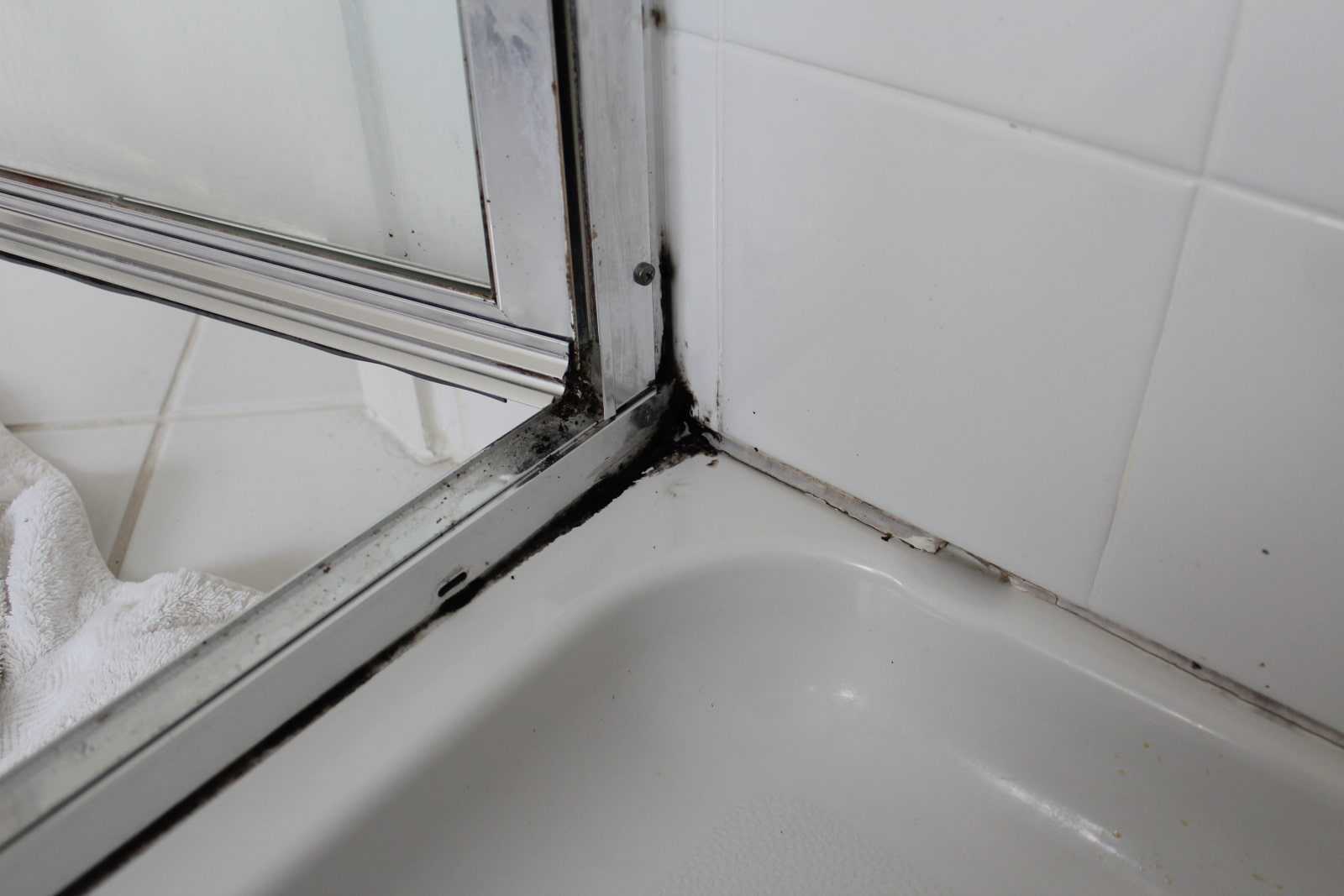 Плесень в ванной: избавляемся от напасти в домашних условиях
