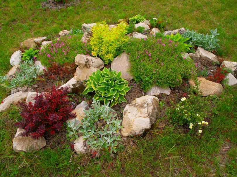 Альпинарий, или альпийская горка, - это один из декоративных элементов ландшафтного дизайна. Это сад из камней, украшенный разнообразными горными растениями.