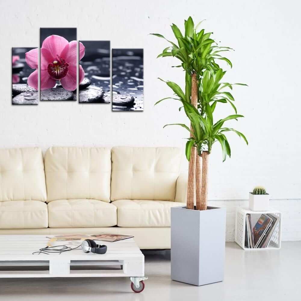 Цветы в интерьере (58 фото): композиции из комнатных растений в одном горшке, приемы размещения цветов на стене и на полу, идеи озеленения квартиры