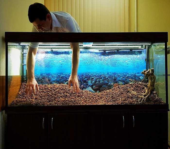 Как в аквариуме сделать лучший питательный грунт для растений своими руками?