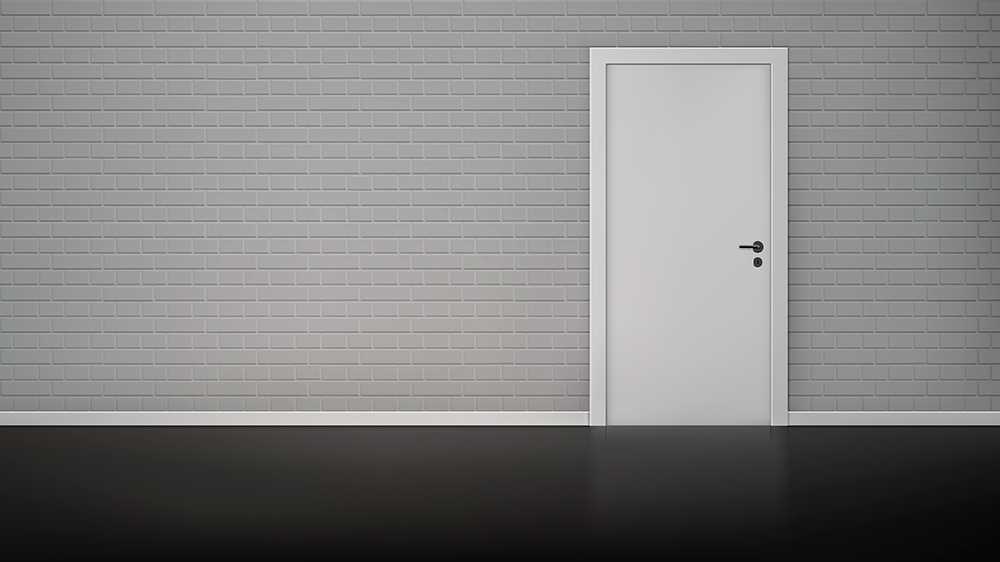 Какие двери лучше: ламинированные или покрытые экошпоном?