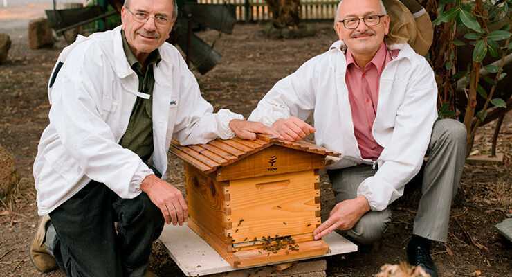 Изготовление и размеры пчелиных рамок для ульев своими руками