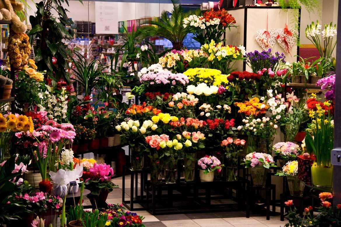 5 секретов успешного цветочного бизнеса – сложности и особенности ведения цветочного бизнеса в россии