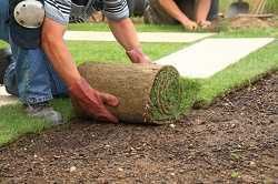 Искусственный газон для дачи: преимущества рулонного покрытия, укладка и уход