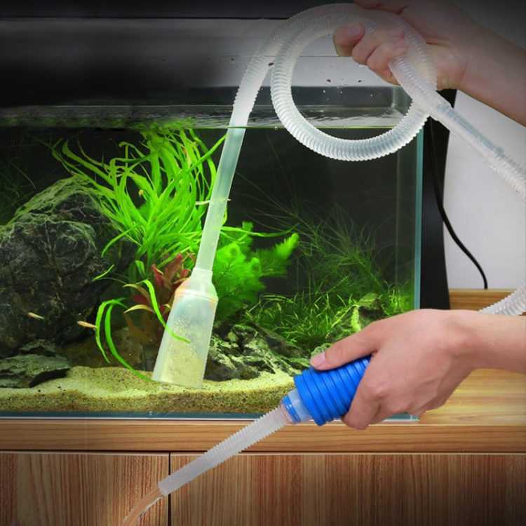 Как сделать аквариум своими руками: советы, фото, видео