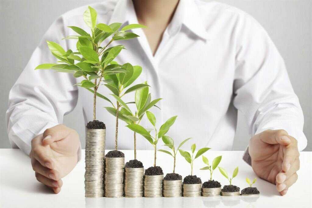 Инвестиции в бизнес с нуля — советы как инвестировать в стартапы + 5 проверенных вариантов инвестирования для новичков