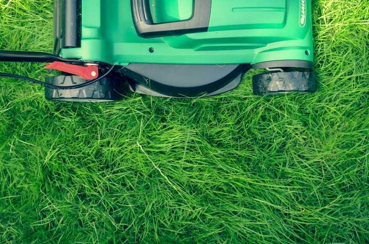 Как стричь газон правильно: инструкции, оборудование и советы по стрижке
