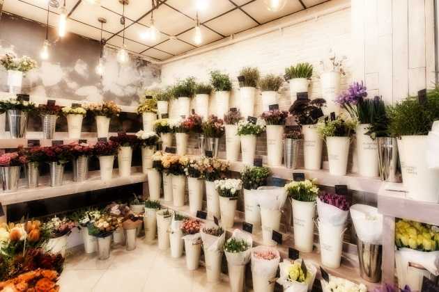 Бизнес-план цветочного магазина - «жажда» - бизнес-журнал