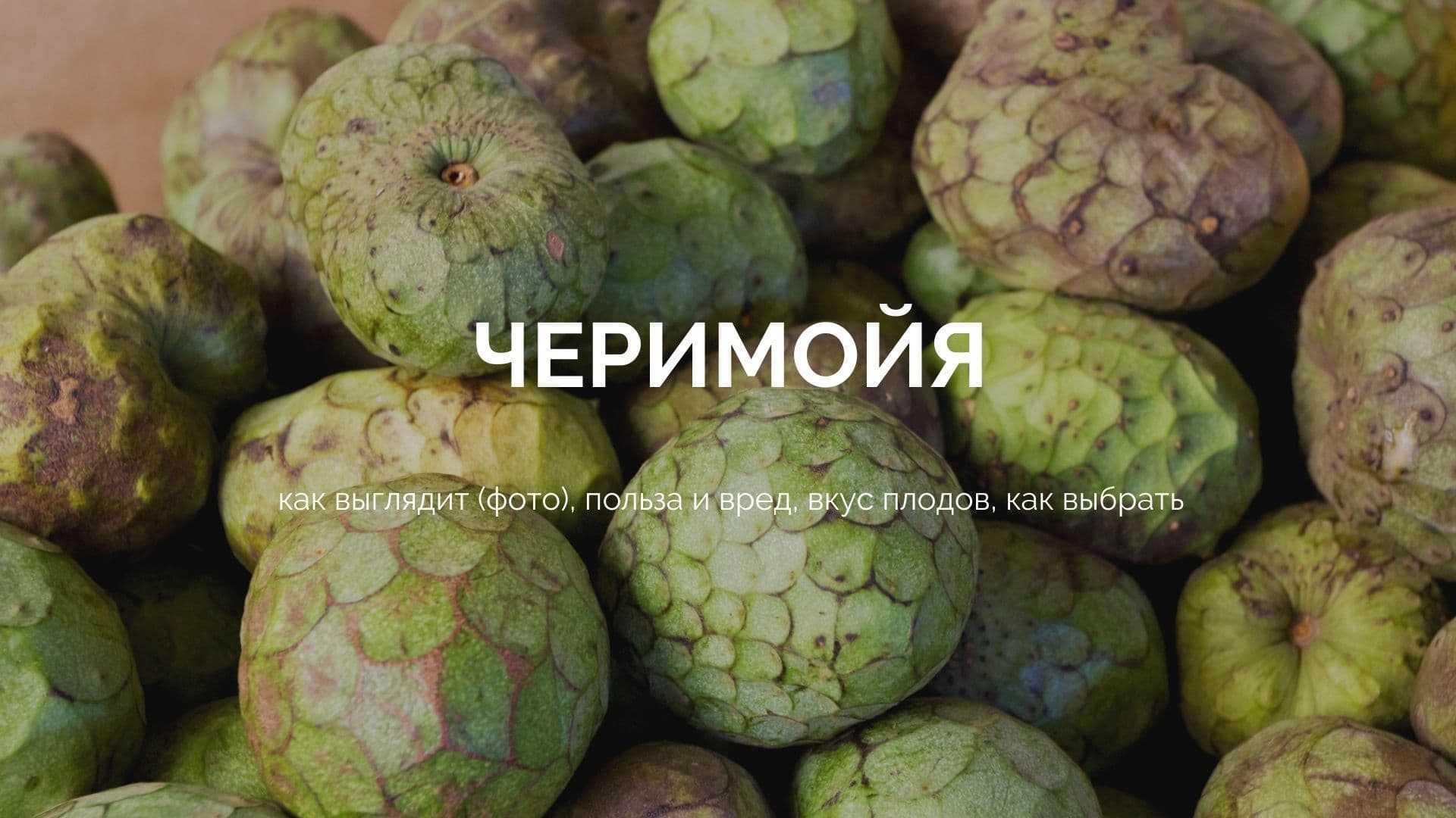 Бизнес на сухофруктах: как заработать в первый месяц 200 000 рублей?
