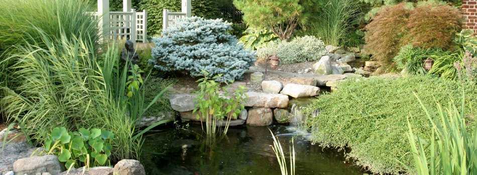 Японский сад – стиль оформления ландшафтного дизайна