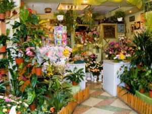 5 секретов успешного цветочного бизнеса – сложности и особенности ведения цветочного бизнеса в россии