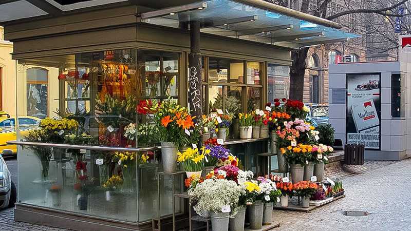 Цветочный бизнес. как открыть магазин цветов с нуля