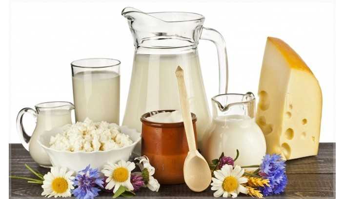 Польза и вред кисломолочных продуктов – 8 фактов об их влиянии на здоровье организма взрослого человека