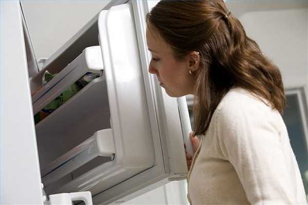 Что делать, если холодильник не морозит