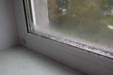 Как избавиться от плесени и конденсата на пластиковых окнах?