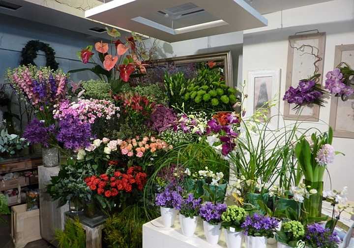 Бизнес-план: цветочный магазин