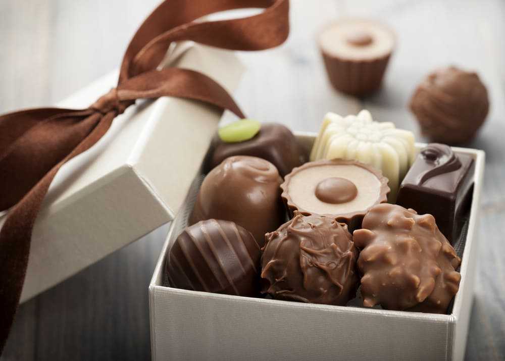 Производство шоколада как малый бизнес, в том числе на дому: как организовать, с чего начать, что понадобится, пример плана