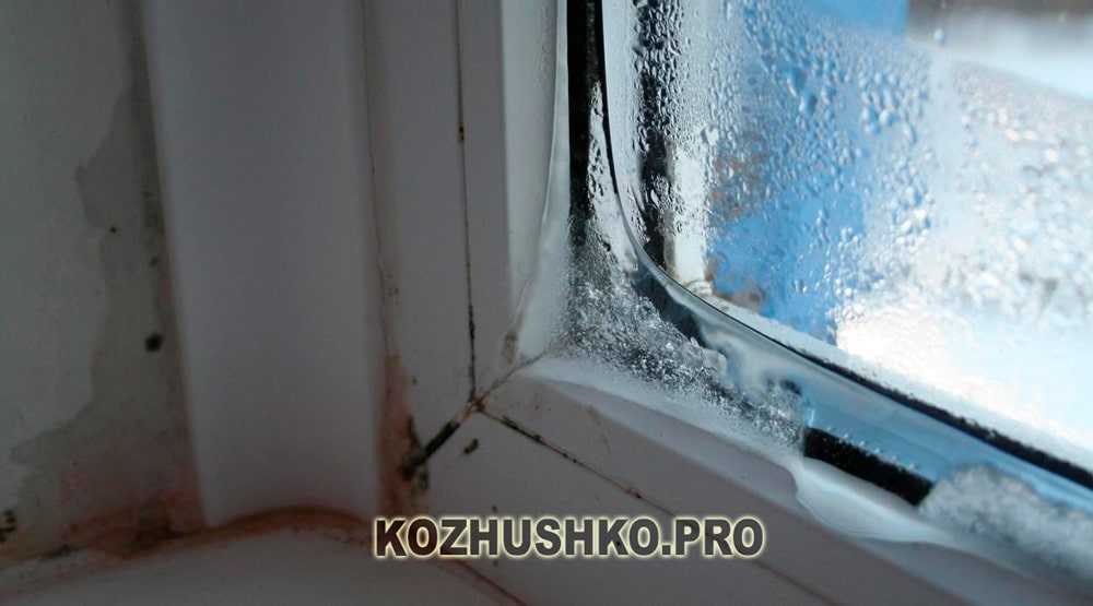 Можно ли ставить пластиковые окна зимой: при какой температуре, плюсы и минусы