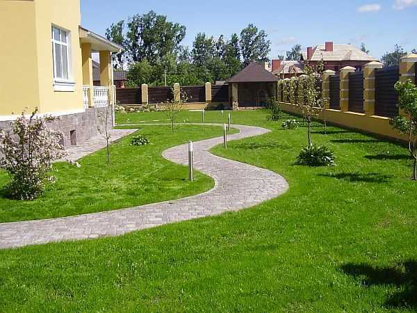 Создание идеального газона. устройство газона на даче. фото — ботаничка.ru